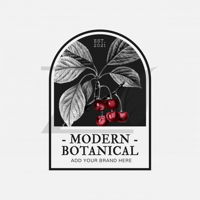 وکتور تجاری گیاه شناسی مدرن با نام و تصویر گیلاس