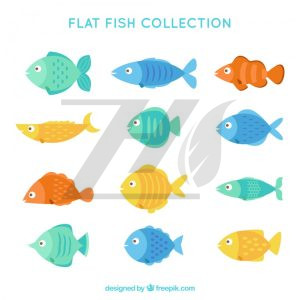 وکتور ست ماهی های رنگارنگ به سبک تخت
