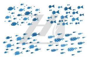 مجموعه ماهی های رنگ آبی