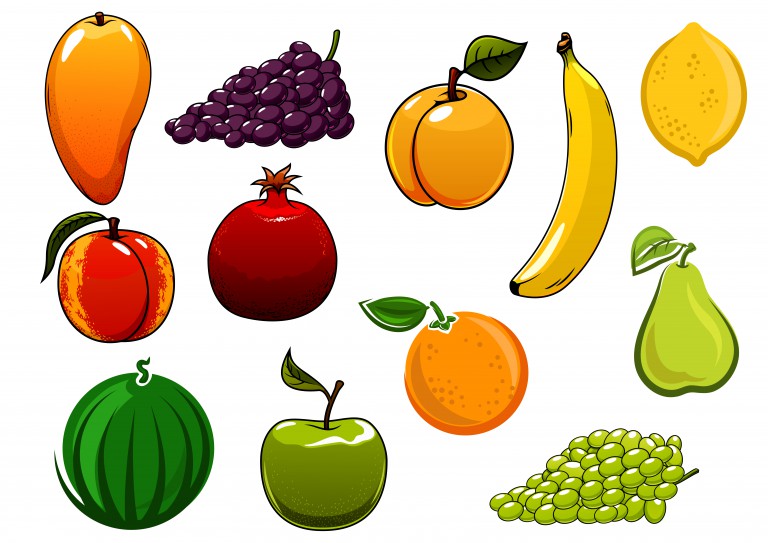 مجموعه 12 عددی وکتور میوه های متفاوت