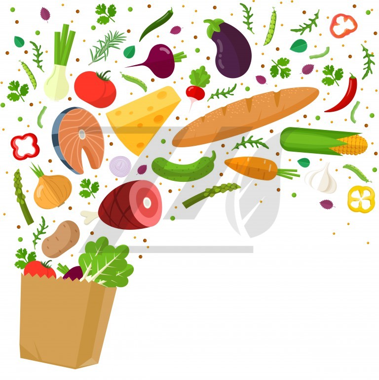 وکتور طرح غذا های سالم و سبزیجات
