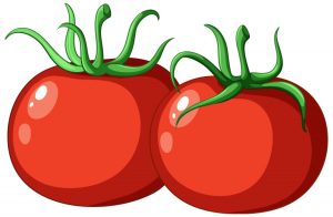 مجموعه 2 عددی وکتور طرح میوه گوجه فرنگی
