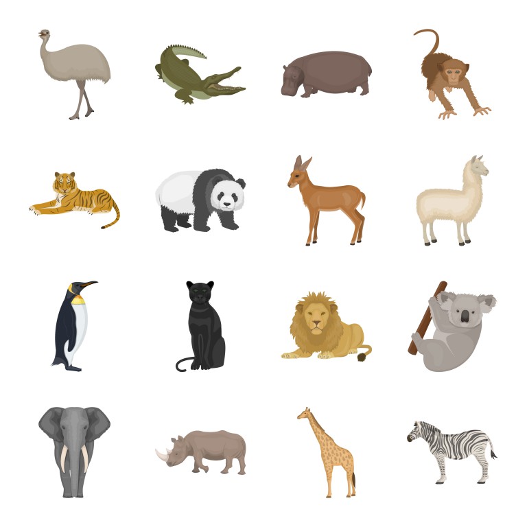 مجموعه 16 عددی آیکون طرح حیوانات