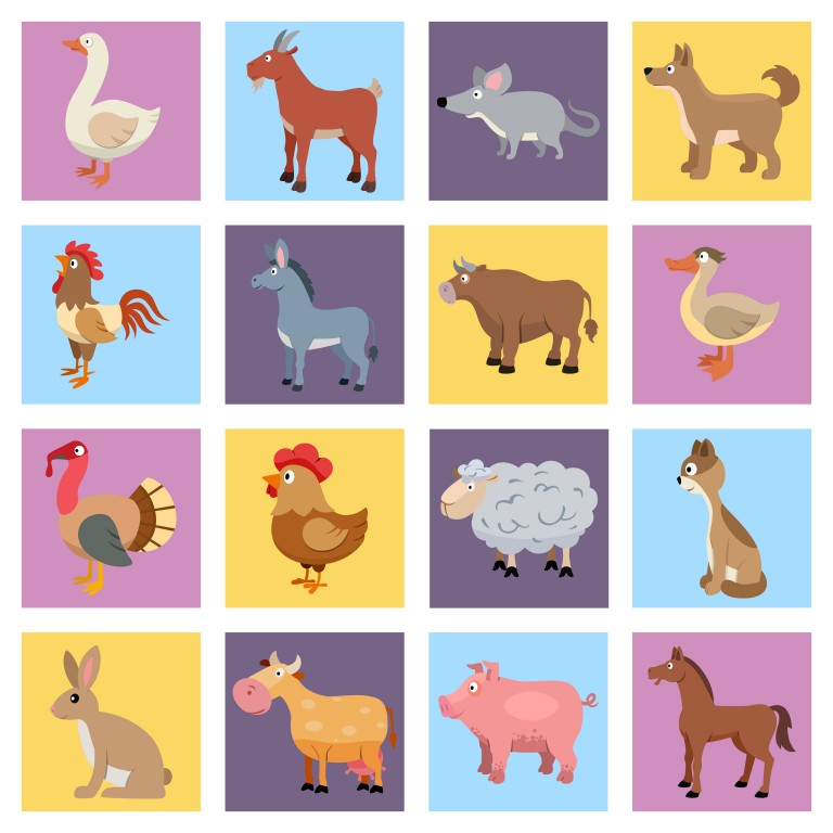 مجموعه 16 عددی آیکون طرح حیوانات مختلف