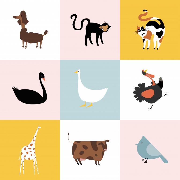 مجموعه 9 عددی وکتور طرح حیوانات مختلف با پس زمینه های جدا شده