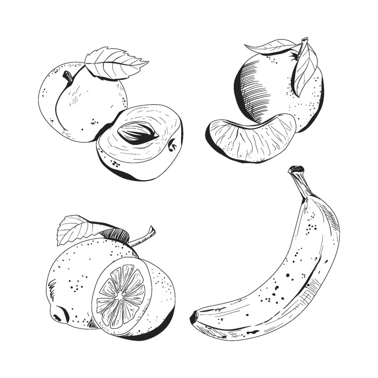 مجموعه 4 عددی وکتور طرح میوه جات مختلف نقاشی شده
