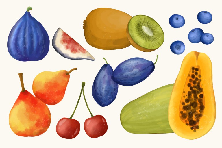 وکتور طرح میوه جات مختلف نقاشی شده