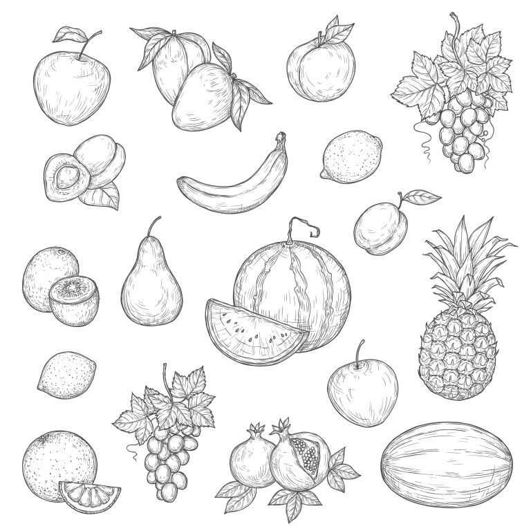 وکتور میوه جات مختلف طرح نقاشی شده