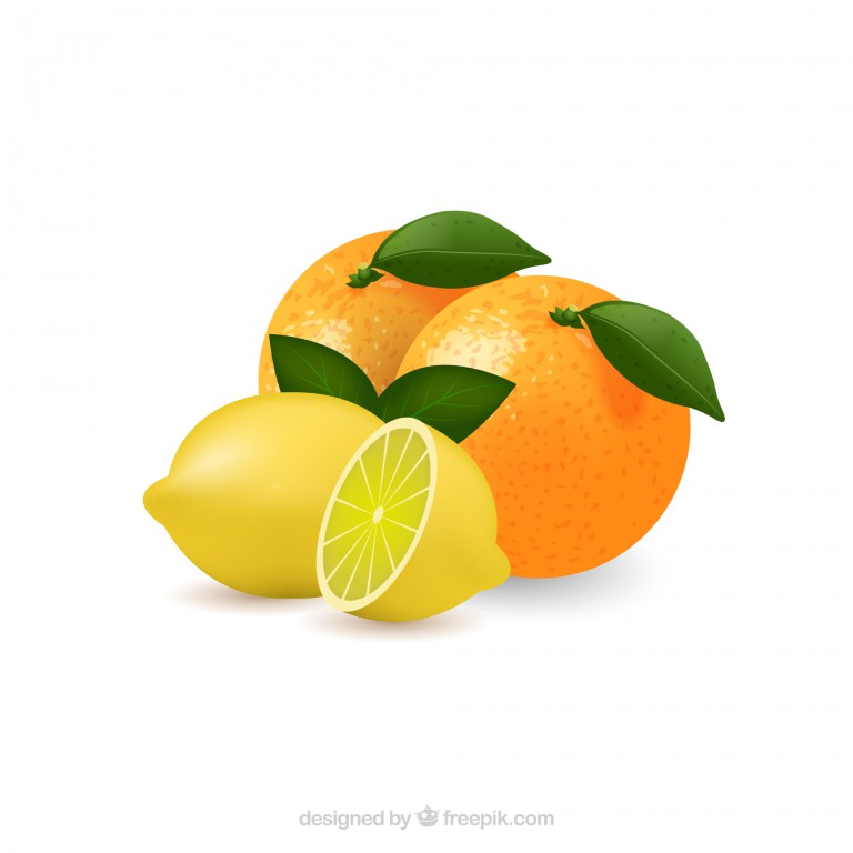 وکتور طرح میوه پرتقال و لیمو