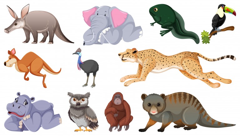 مجموعه 11 عددی وکتور طرح حیوانات مختلف