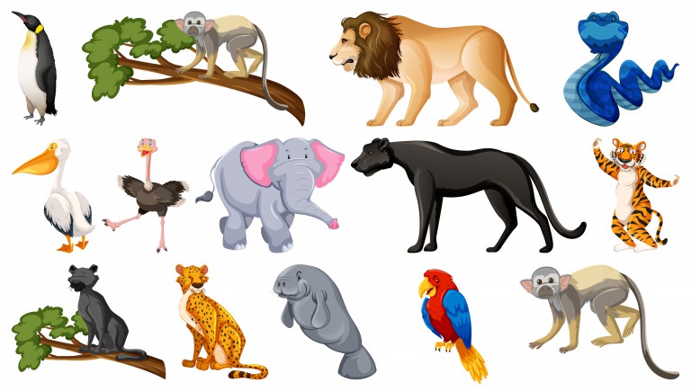 مجموعه 14 عددی وکتور طرح حیوانات مختلف