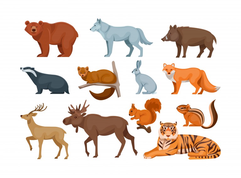 مجموعه 12 عددی وکتور طرح حیوانات