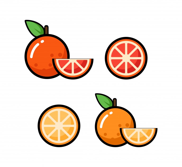 وکتور میوه پرتقال