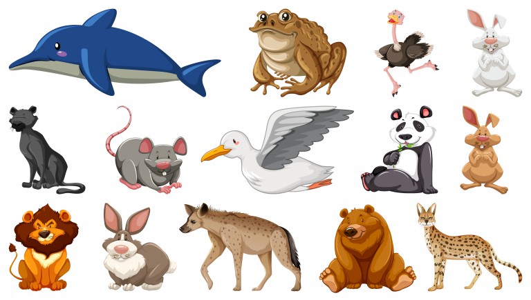 مجموعه 14 عددی حیوانات متفاوت