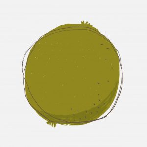 وکتور طرح میوه کیوی با پس زمینه روشن وکتور طرح میوه کیوی با پس زمینه روشن