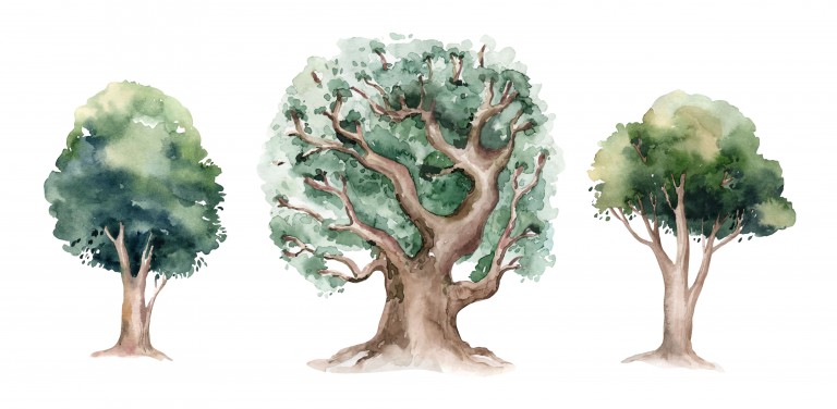 مجموعه 3 عددی درختان مختلف