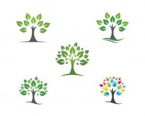 وکتور مجموعه 5 عددی لوگو های طرح درختان مختلف