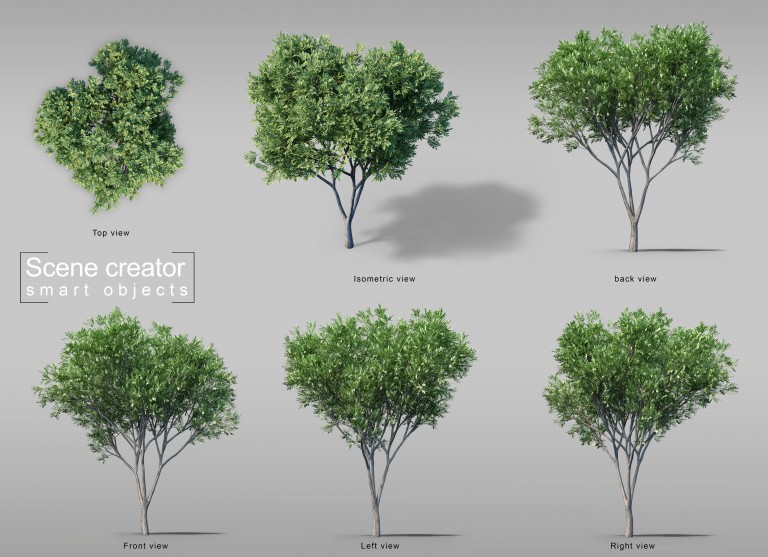 فایل لایه باز مجموعه درخت های مختلف طرح سه بعدی