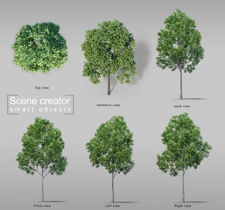 فایل لایه باز مجموعه 6 عددی درخت های مختلف سبک سه بعدی