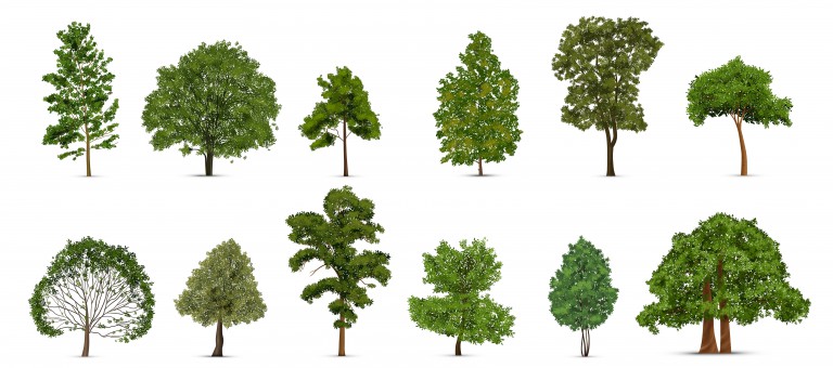 وکتور مجموعه درختان مختلف طرح سه بعدی
