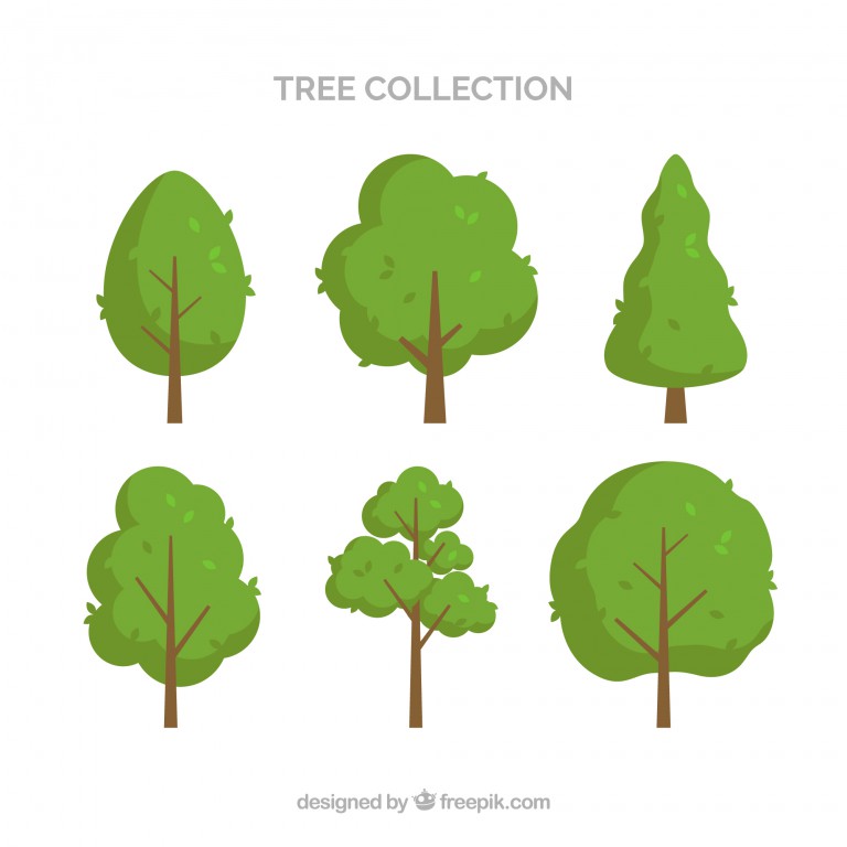 مجموعه 6 عددی وکتور درختان مختلف طرح نقاشی شده