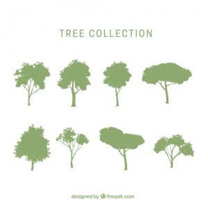 مجموعه 8 عددی وکتور سیلوئت درختان مختلف