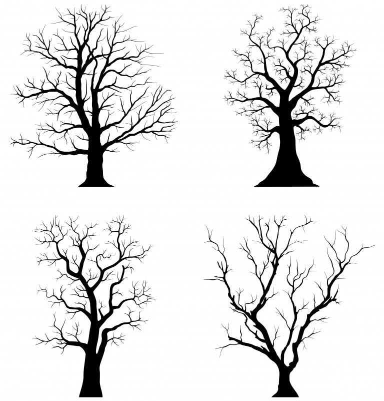 وکتور مجموعه 4 عددی درختان مختلف رنگ مشکی