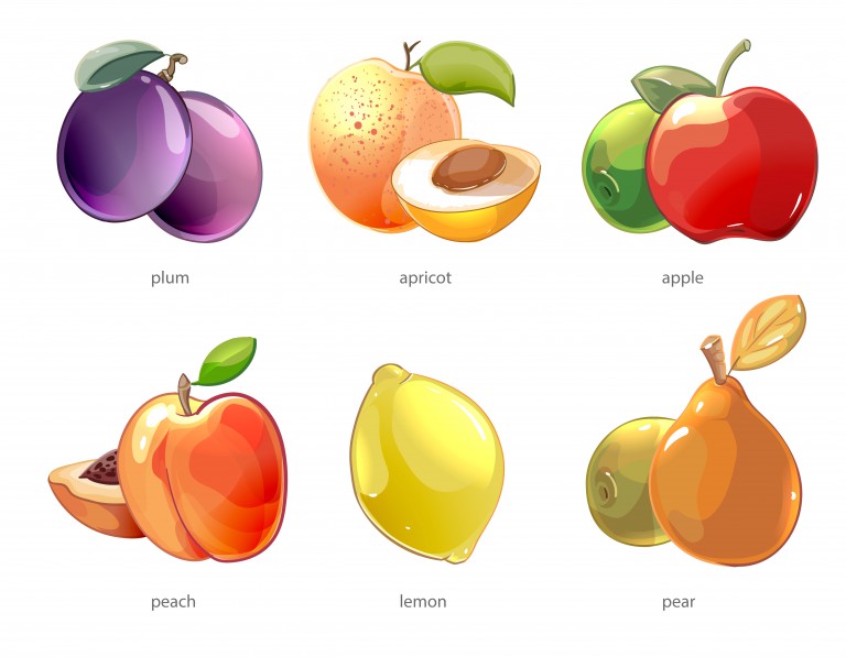 مجموعه 6 عددی وکتور میوه های مختلف