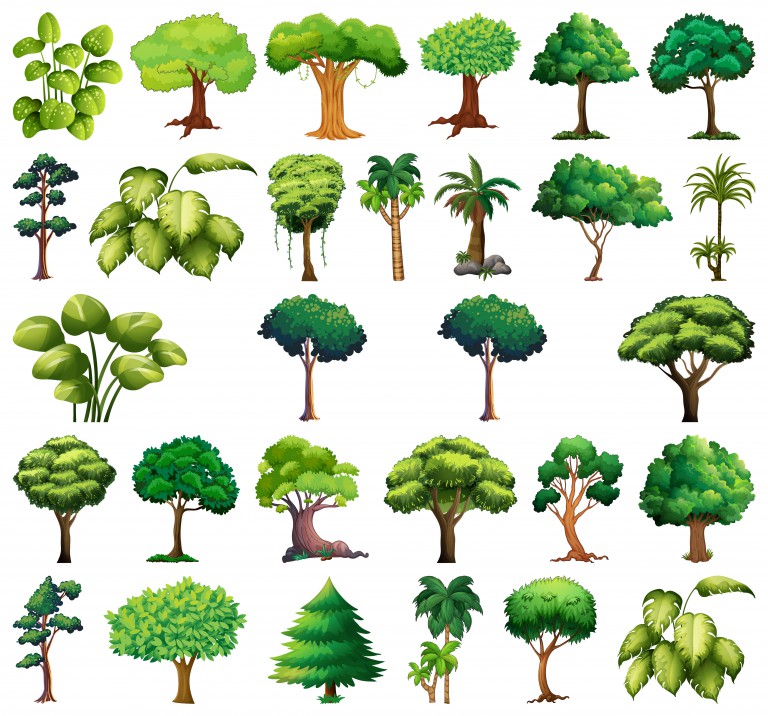 وکتور طرح درخت و گیاهان مختلف