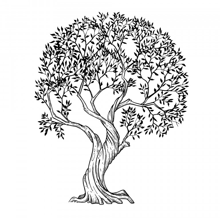 وکتور طرح درخت نقاشی شده رنگ مشکی