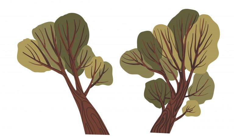 مجموعه 2 عددی درختان مختلف