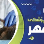 فایل لایه باز بنر کلینیک دامپزشکی رنگ روشن