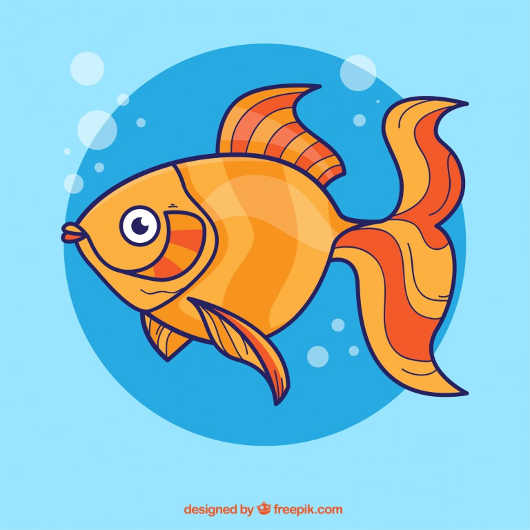 وکتور ماهی نارنجی