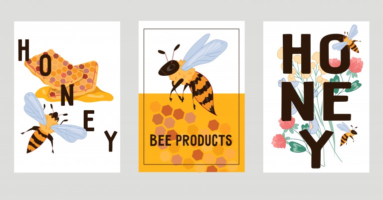 وکتور مجموعه پوستر زنبور عسل