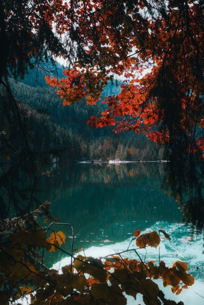 پس زمینه موبایل طرح منظره رودخانه