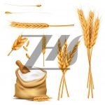 مجموعه وکتور گونی آرد و گندم مجموعه وکتور گونی آرد و گندم