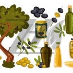 وکتور مجموعه عناصر روغن زیتون