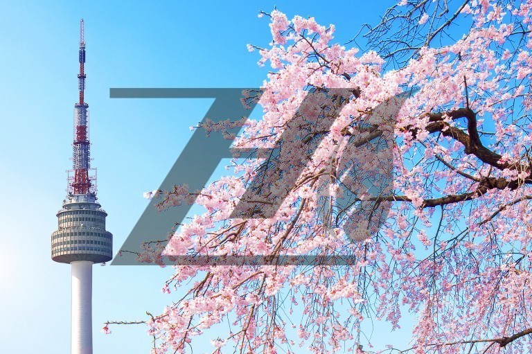 پس زمینه دسکتاپ منظره برج سئول و شکوفه گیلاس