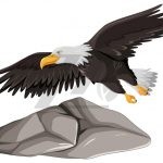 وکتور عقاب در حال پرواز وکتور عقاب در حال پرواز