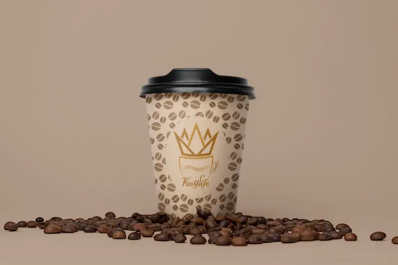 نمونه کار 6