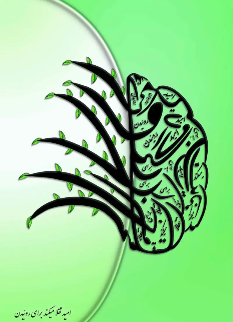 نمونه کار 1