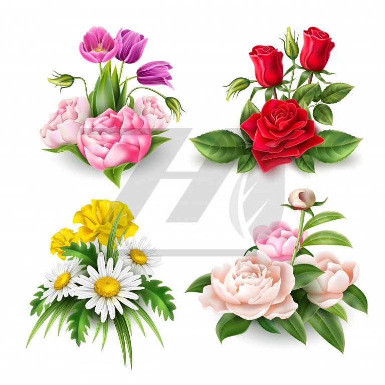 وکتور مجموعه دسته گل های زیبا