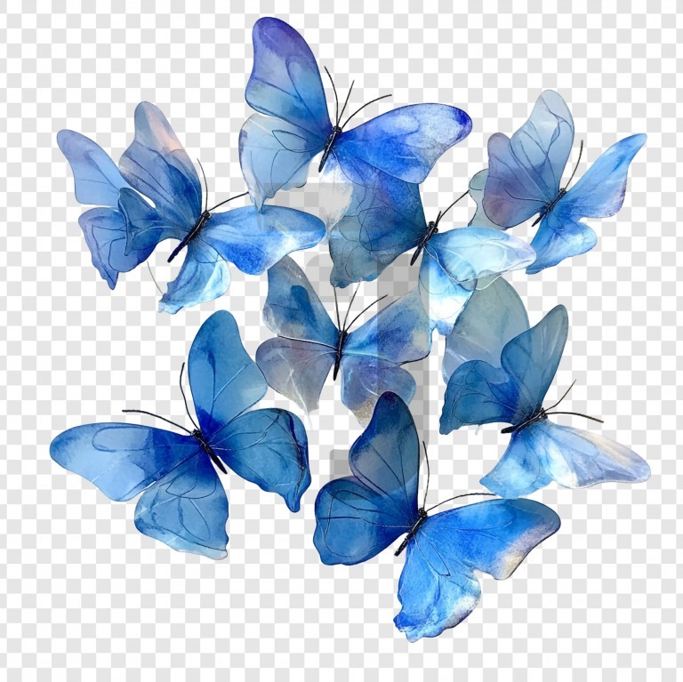 فایل لایه باز مجموعه پروانه های زیبا