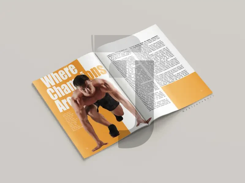 نمونه کار 2