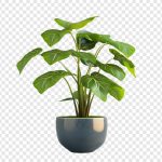 فایل لایه باز گل طبیعی با گلدان فایل لایه باز گل طبیعی با گلدان