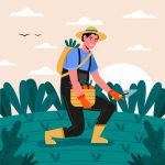 وکتور کشاورزی در حال برداشت هویج