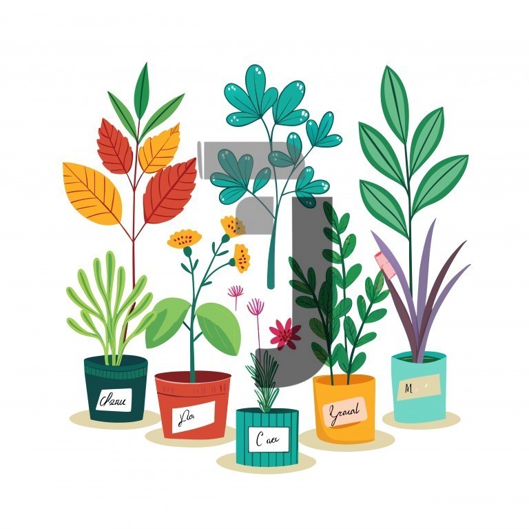 وکتور مجموعه گلدان با گیاهان آپارتمانی