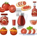 وکتور تصویر محصولات گوجه فرنگی وکتور تصویر محصولات گوجه فرنگی