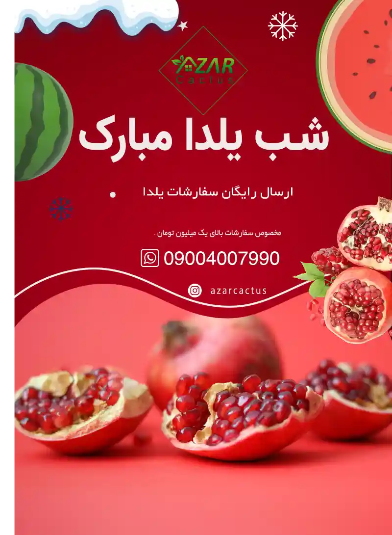 نمونه کار 8