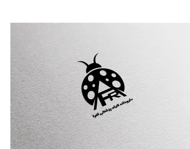 نمونه کار 13